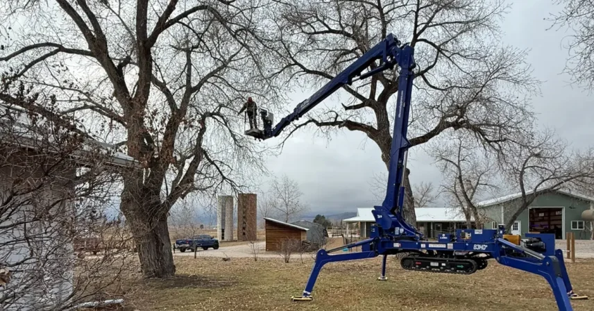 Roots Up Tree Company crew safely removing tree branches near a residential home in Lafayette, CO.