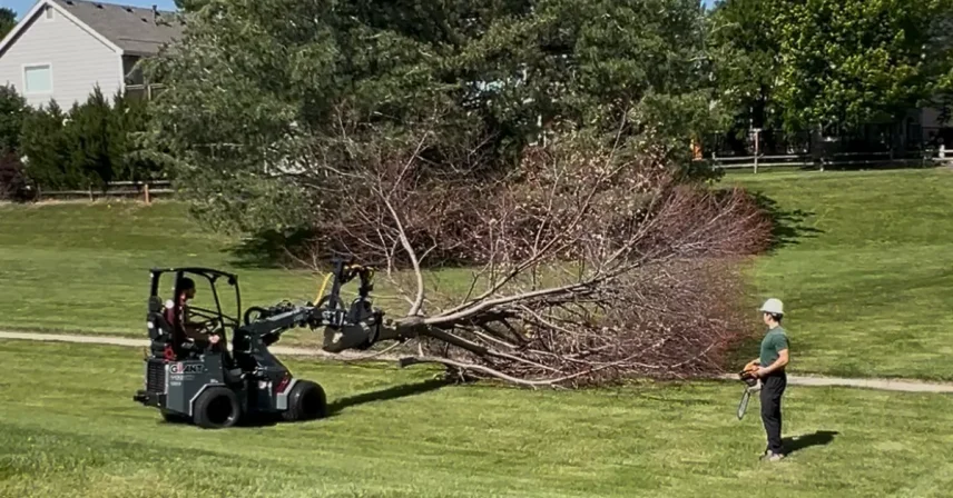 A downed tree branch is blocking a sidewalk in Boulder County after a storm