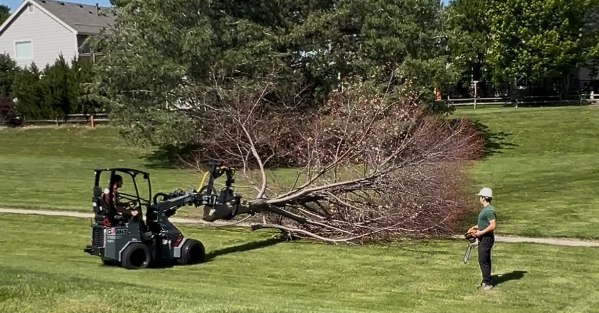 Safety Checklist for Boulder Homeowners After a Storm