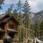 Fire mitigation tree removal near a mountain home in Boulder County, Colorado