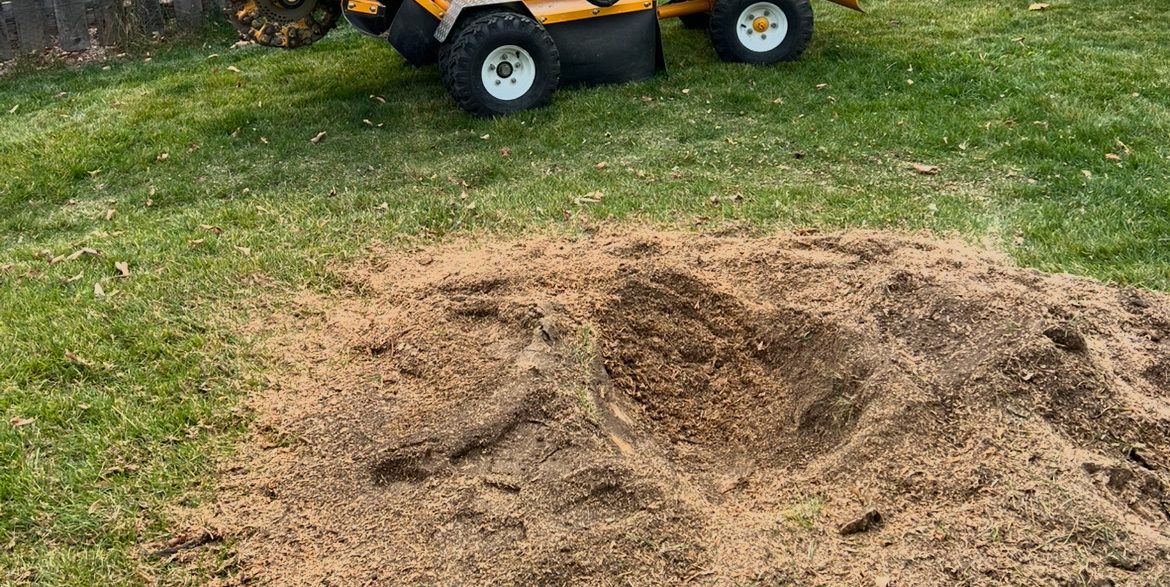 stump and tree removal job in erie co - after